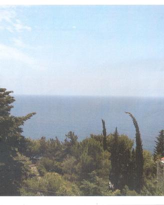 Cilento case