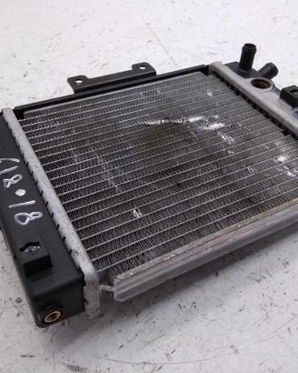 KYMCO GRAND DINK 250 RADIATORE 2003 2004 S41011