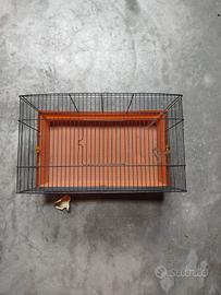 gabbia uccellini 
