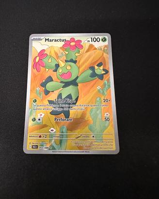 Maractus BLK093