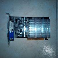 Scheda Video 256mb Agp