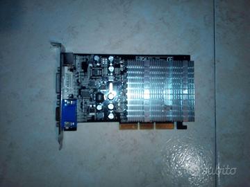 Scheda Video 256mb Agp