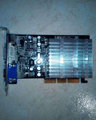 Scheda Video 256mb Agp