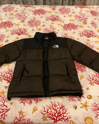 Giubbotto The north face