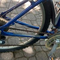 Mountain bike BIANCHI.