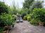Immagine 19
