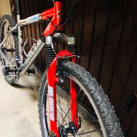 Mountain Bike Giant uomo vintage