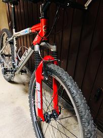 Mountain Bike Giant uomo vintage