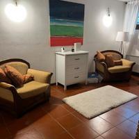 Stupenda  coppia di poltrone