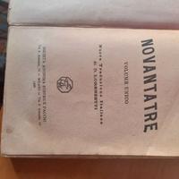 Romanzo "Novantatrè".