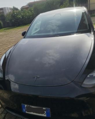 tesla model Y LR RWD 10/2024