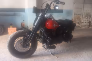 harley davidsono 1584 cross bones springer
