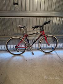 Mtb Vianelli