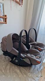 Ovetto neonato