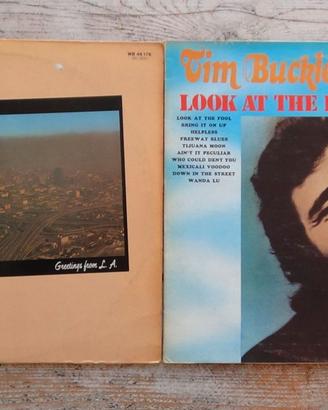 Tim Buckley lotto di 2 dischi / lp / vinili