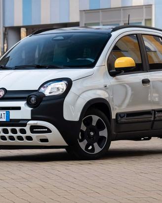  paraurti e cofano panda cross 2024