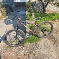 bici in alluminio leggero MTB camic 