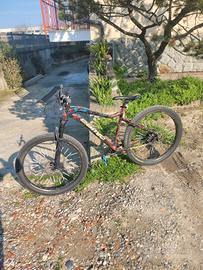 bici in alluminio leggero MTB camic 