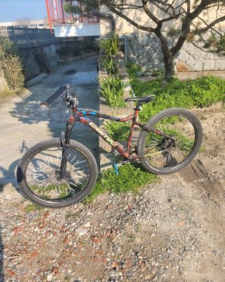 bici in alluminio leggero MTB camic 