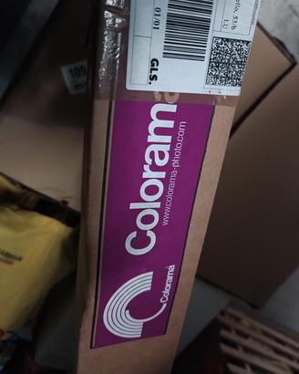 Nuovo fondale fotografico Bianco in carta Colorama