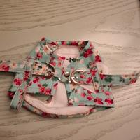 pettorina per chihuahua