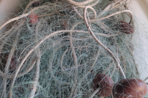 Reti da pesca barracuda