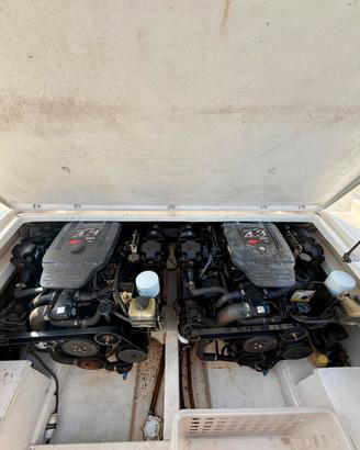 Motori Mercury Mercruiser 4.3mpi completi piedi