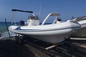 gommone tecno 660 motorizzato evinrude 225 cv