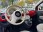 Immagine 12