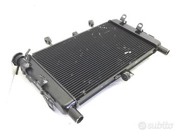RADIATORE ACQUA LIQUIDO RAFFREDDAMENTO YAMAHA TRAC