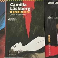 Camilla Lackberg - serie “I delitti di Fjallbacka”