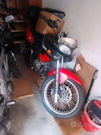 Cagiva canyon 500cc