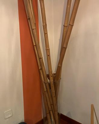 Vaso per casa con Bambu