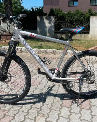 mountain bike da sistemare