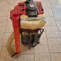 Cifarelli raccogli nocciole