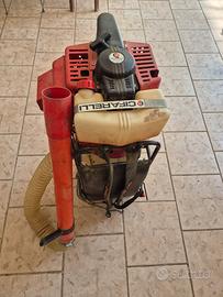 Cifarelli raccogli nocciole