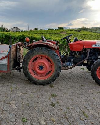 Trattore Same Delfino 35
