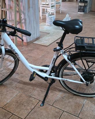 Bicicletta elettrica 