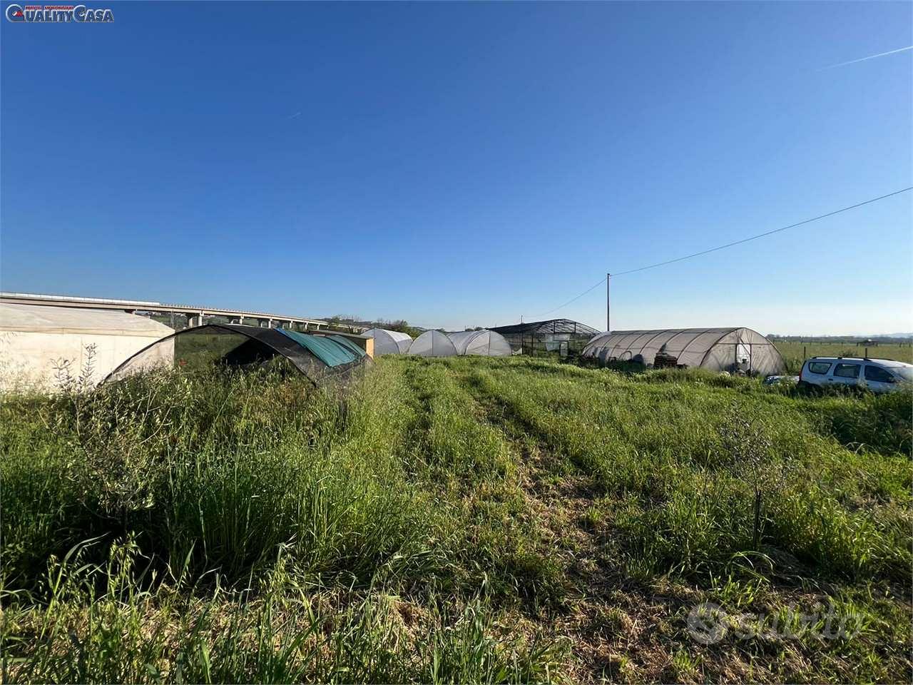 TERRENO PRONTO PER ATTIVITA AGRICOLA FALCONARA MA - Vista 4