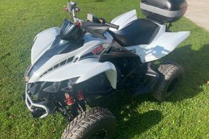 Quad TGB Target 525 4x4