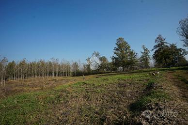 TER. RESIDENZIALE A NIZZA MONFERRATO