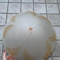 Lampadario da Soffitto