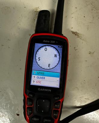 Palmare Garmin astro 320