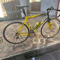 Bici professionale Giant