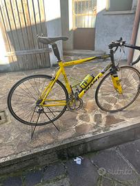 Bici professionale Giant