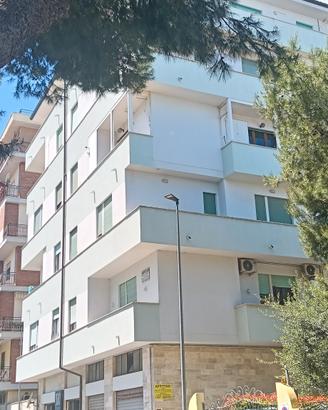 CAMERE STUDENTESSE UNICAM Via TACITO/VOLTA