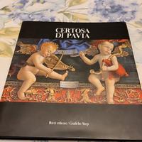 la Certosa di Pavia 
