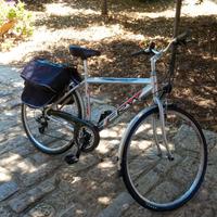 Bici da passeggio FRW