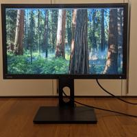 Monitor BenQ 24" 2K QHD IPS 16:9, pivot (sRGB 100%