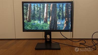 Monitor BenQ 24" 2K QHD IPS 16:9, pivot (sRGB 100%